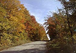 Fall Color in Leelanau County