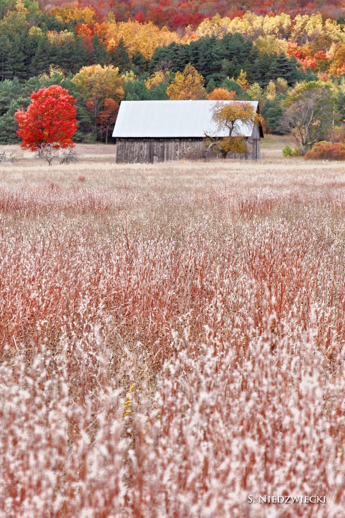 M-22 Barn by Stacy Niedzwiecki