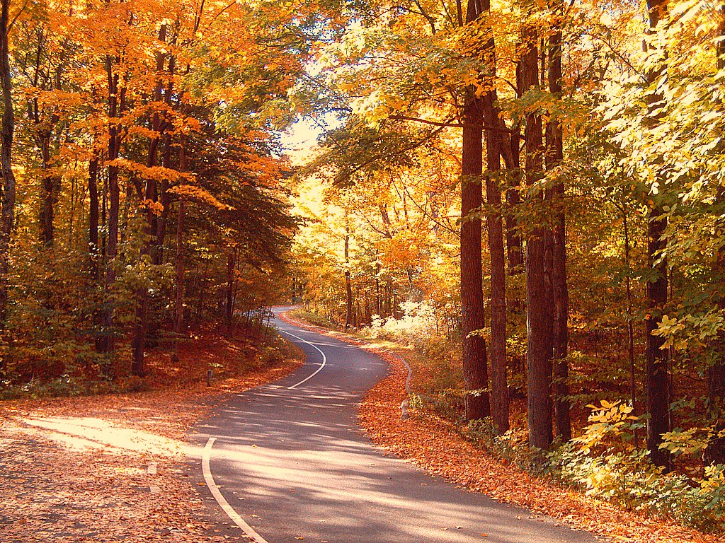 Scenic drive Sleeping Bear Dunes by creed_400