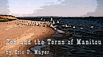 Zen and the Terns of Manitou by Eric P. Mayer