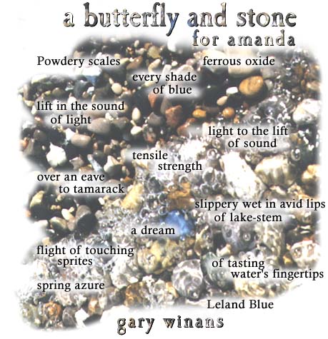 A Butterfly and Stone for Amanda