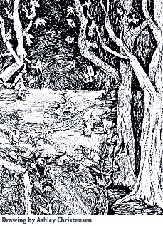 Drawing by Ashley Christianson