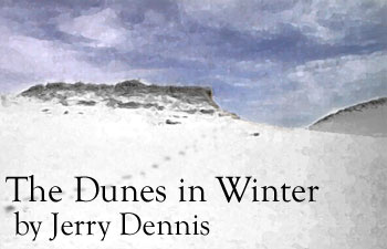 The Dunes in Winter by Jerry Dennis