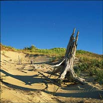 Old Indian Hiking and Ski Trail