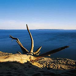 View from Pyramid Point
