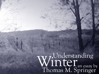 Understanding Winter by Thomas M. Springer