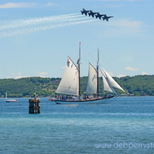 National Cherry Festival Airshow 2 by Deb Perry