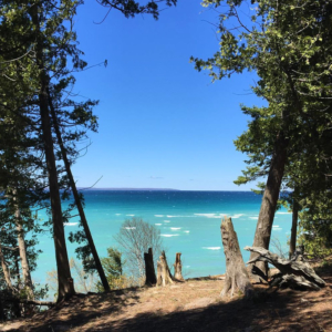 The Forts at Whaleback by Andrew McFarlane