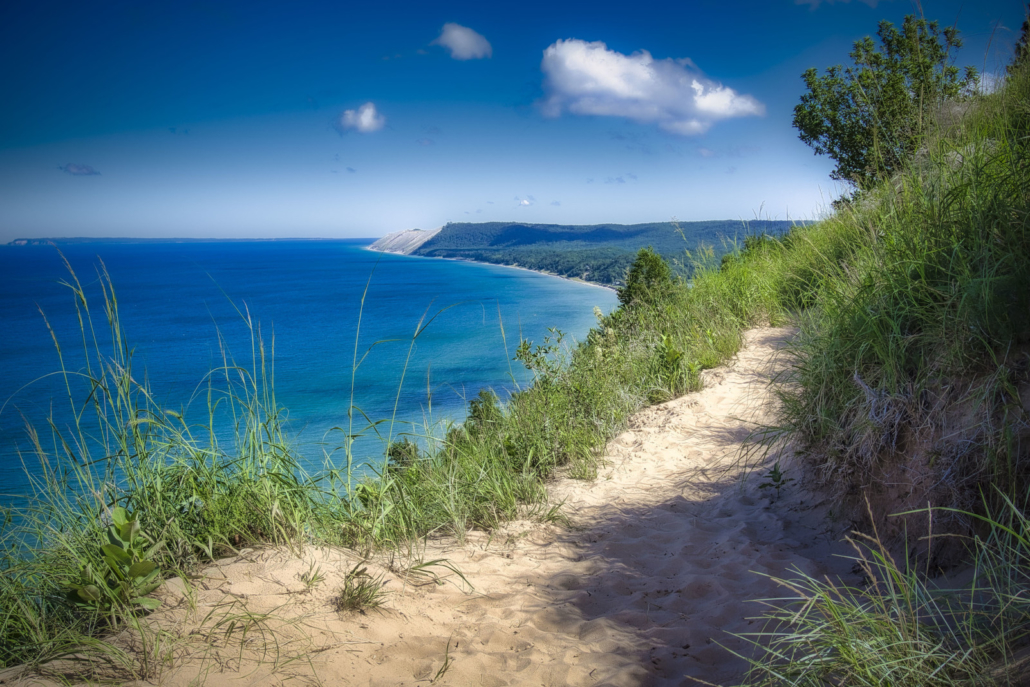 Dune Days by Mark Smith