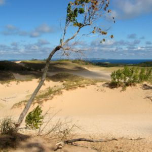 Sleeping Bear Dunes National Lakeshore by Dave McLaughlin