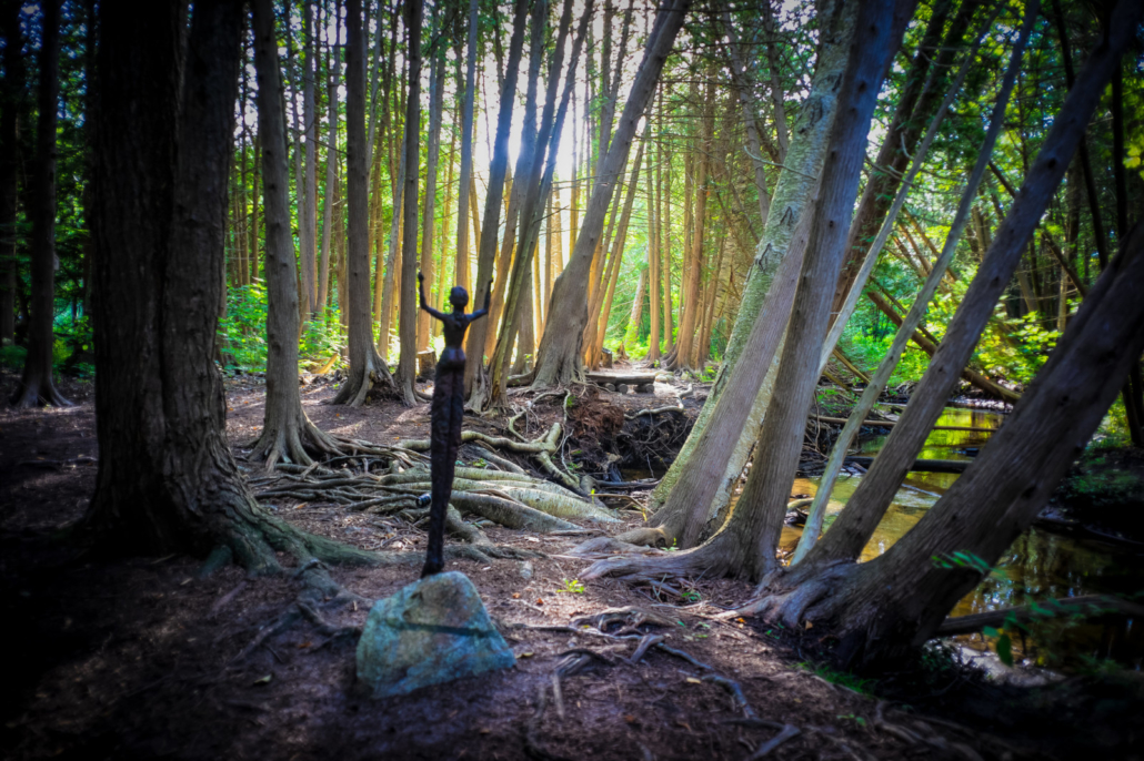 Swamp Angel by Mark Smith