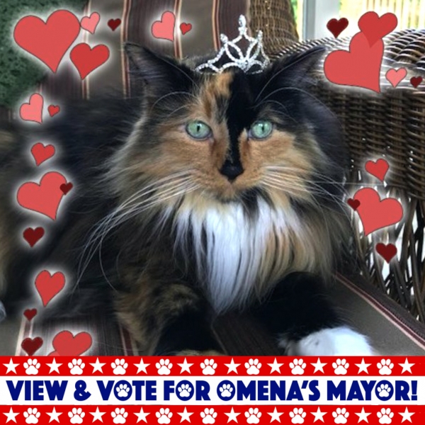 Vote for the 2021 Omena Michigan Mayor