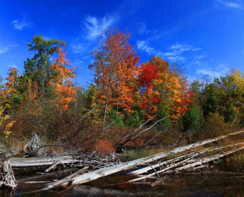 Shalda Creek Colors by Eric Raymond