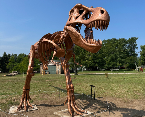 Gilbert the T-Rex Tyrannasaurus Rex Sculpture