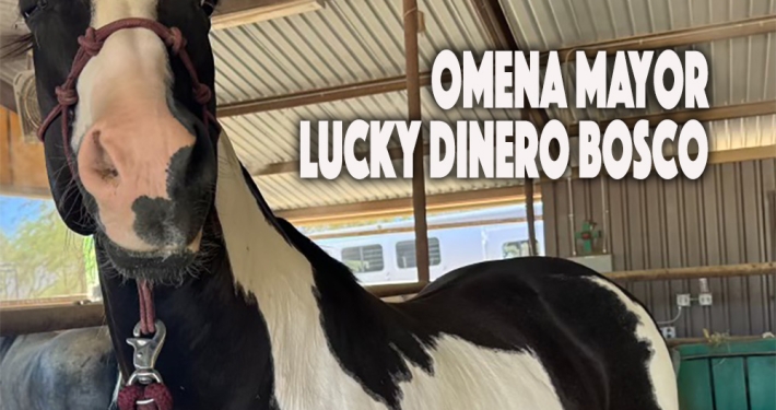 Omena Mayor Lucky Dinero Bosco