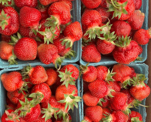 2025 Strawberries by Bardenhagen Berries Farm