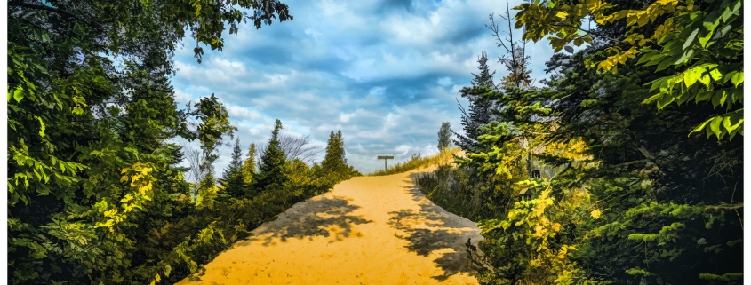 Once more unto the beach, dear friends, once more by Mark Smith