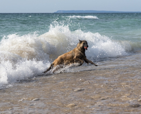 Wave Escape by Mark Miller