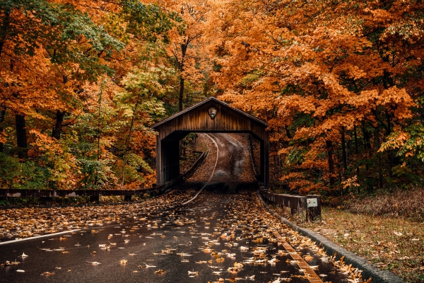 Autumn at Pierce Stocking Bridge by James V Banks Jr