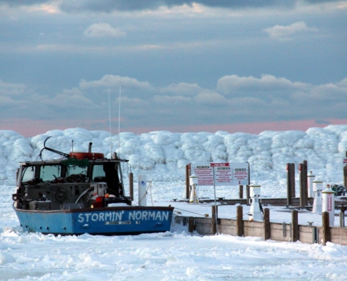 Stormin No More by Trish P