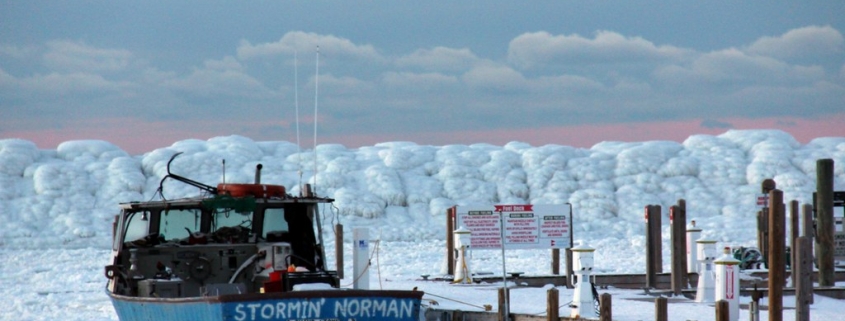 Stormin No More by Trish P