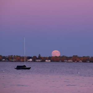 The Hunter's Moon by Scott Cain