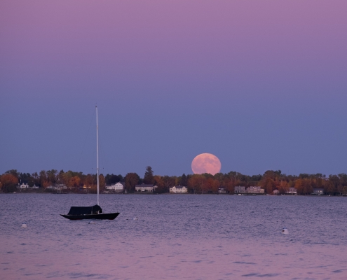 The Hunter's Moon by Scott Cain