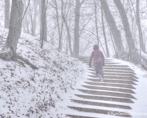 Winter ... a step at a time by Ken Scott