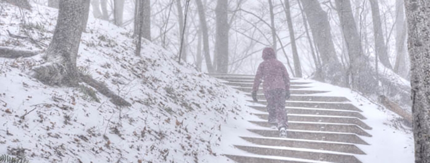Winter ... a step at a time by Ken Scott